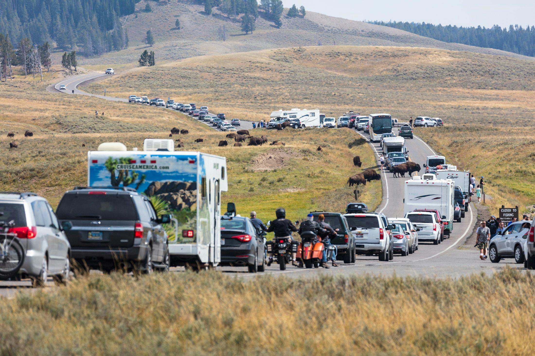 Yellowstone traffic